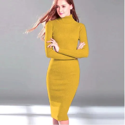 Turtle Neck Ribbed Knitted Dress