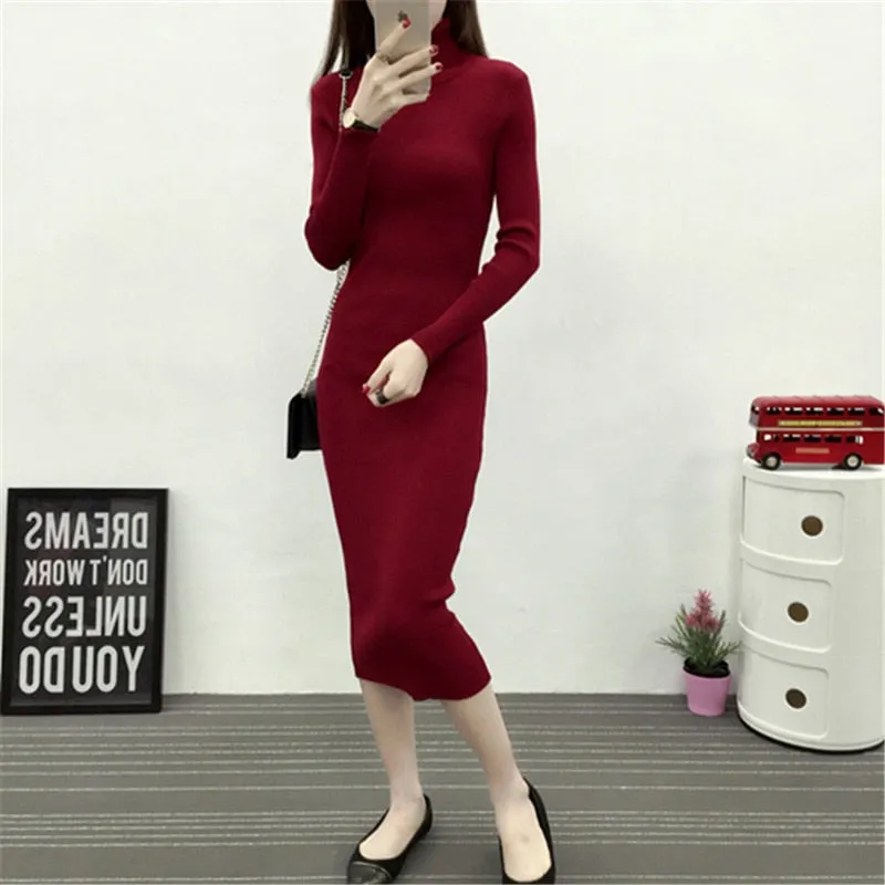 Turtle Neck Ribbed Knitted Dress